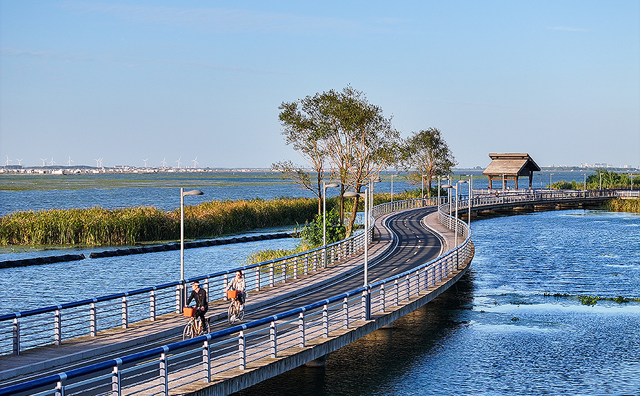 從產(chǎn)業(yè)地標(biāo)到活力坐標(biāo) 園區(qū)打造體育“新名片”